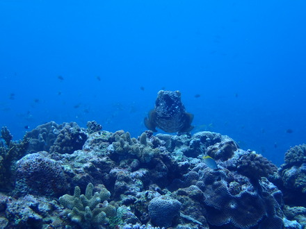P3060110