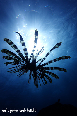P9300176