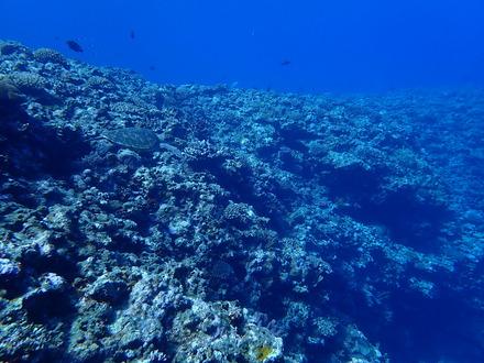 PC030830