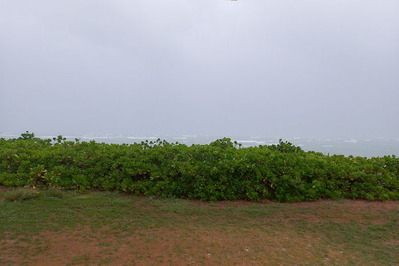 P9130024