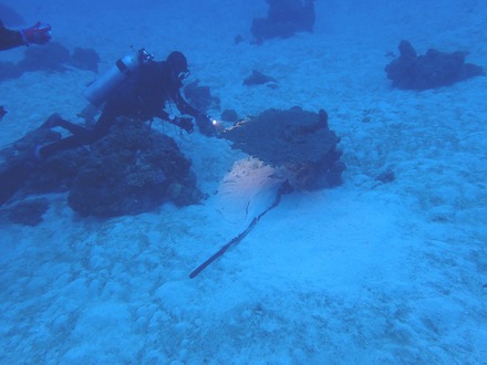 PC100041