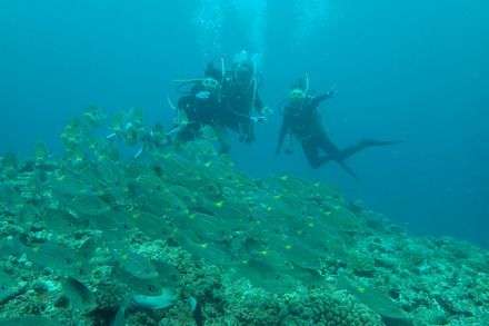 P6200022