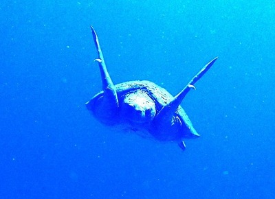 P5300021