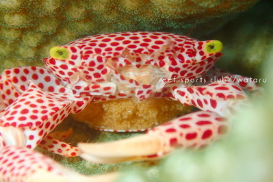 P5140363