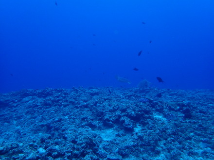 PC080862