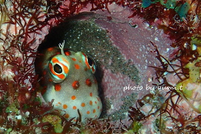 P5230175