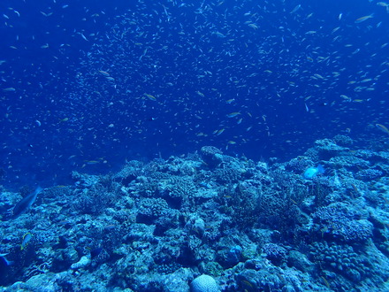 P9120010