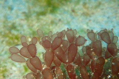 P4070049