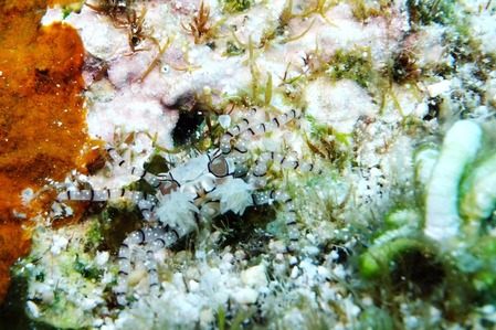 DSCF7394