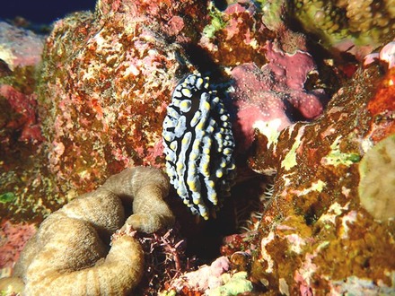 PC120049