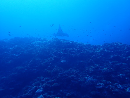 PC150937