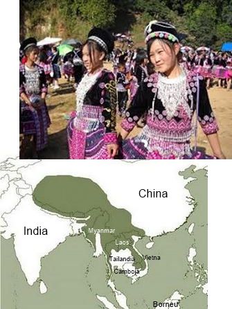 povo-regiao-serrana-asia-sudeste