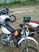 046b2503.jpg
