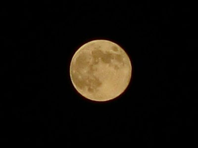 IMG_6948_2-1-11_03