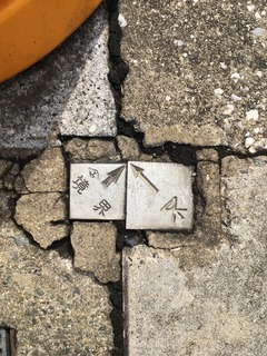ツーショット大阪市と阪神