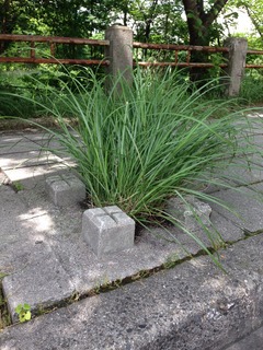 こ、これは?・・・