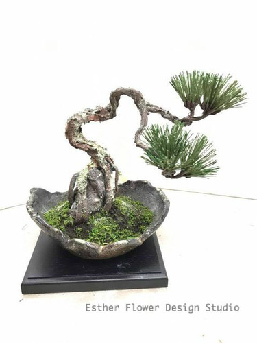 Craft Bonsai