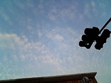 48c0fcd6.jpg