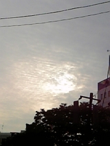 97f0aba9.jpg