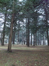 bb61cfa4.jpg