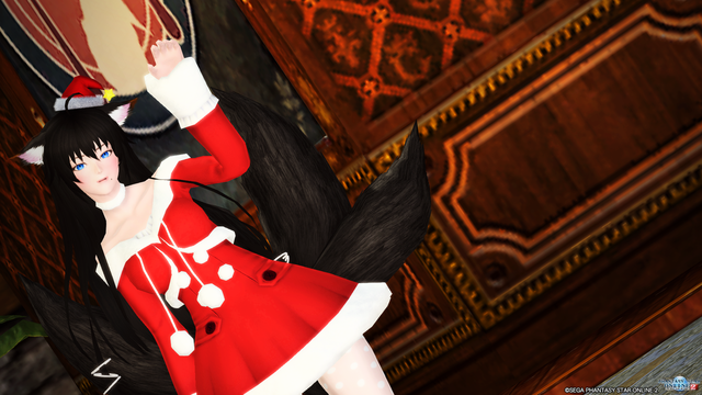 pso20161224_102610_083
