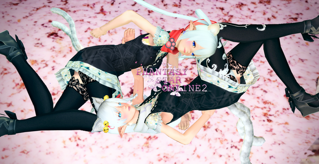 pso20170823_081623_094ネコ姉妹集合横