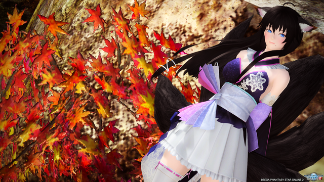 pso20161109_101939_047