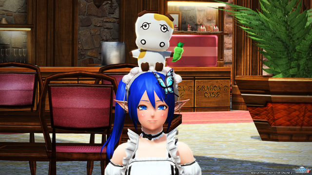 pso20181211_205538_002