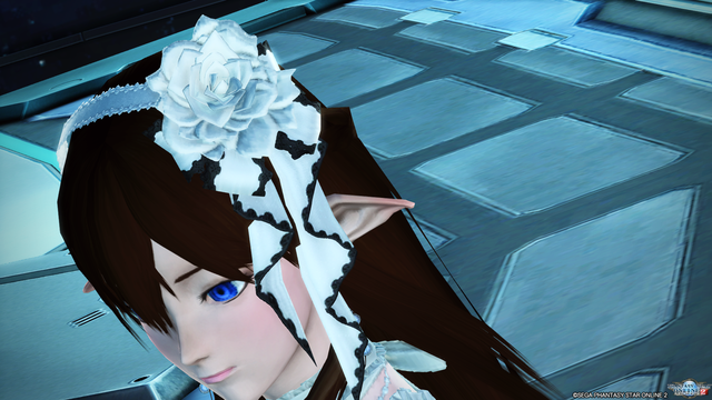 pso20180629_190151_017