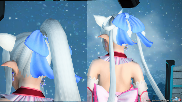 pso20180212_193257_047