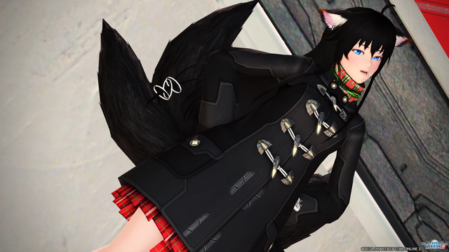 pso20170127_105711_124