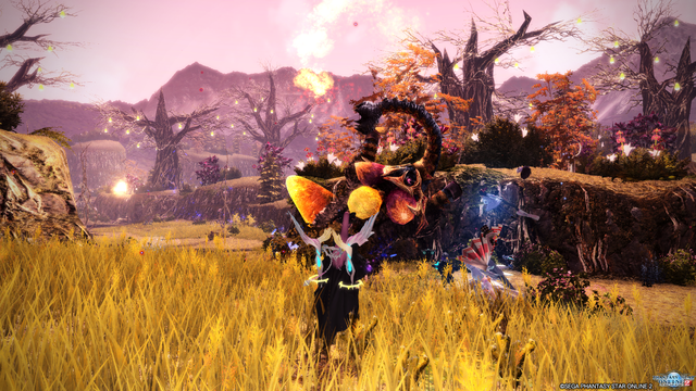 pso20171119_163458_005