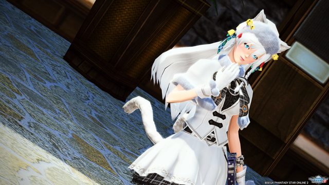 pso20161224_103422_095