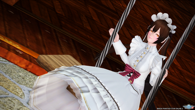 pso20170104_004341_069
