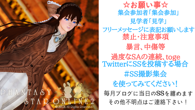 2019年1月度SS撮影集会告知②