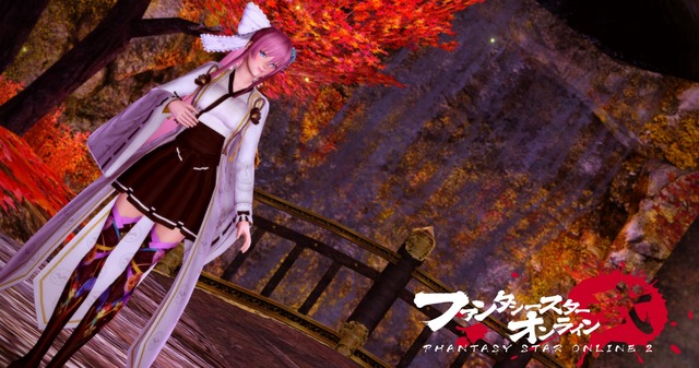 pso20160929_121753_127Esuteru戦道加工JPG