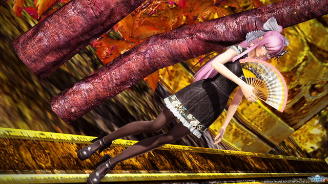 pso20161126_051304_039