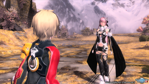pso20160127_213314_020