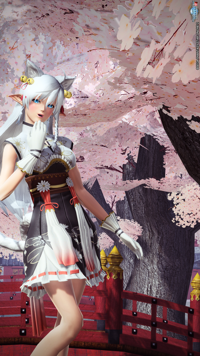 pso20161219_042847_053