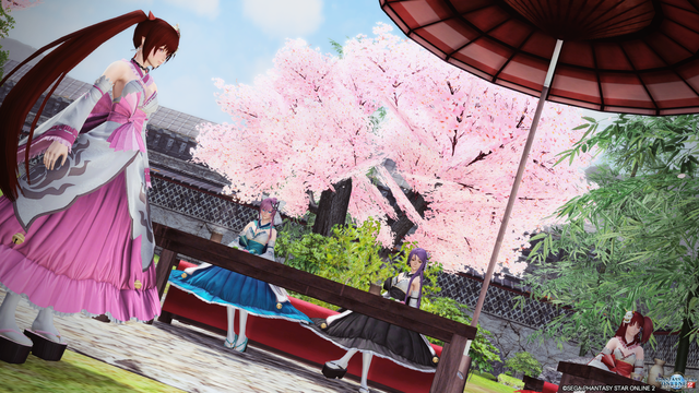 pso20170309_224153_019