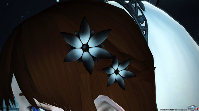 pso20180629_190042_016