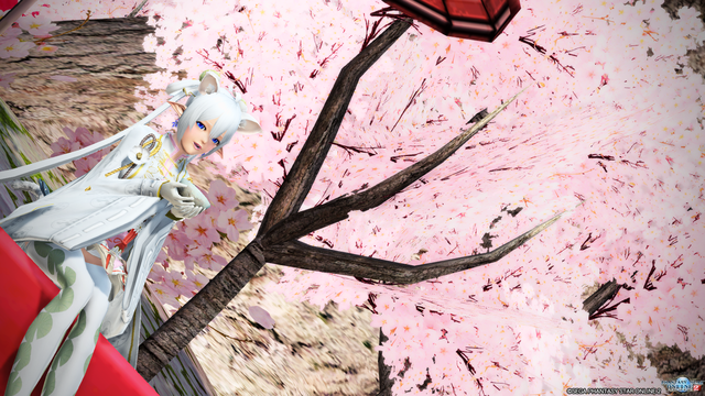 pso20170328_114651_668