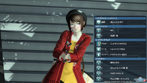 pso20160226_044029_035