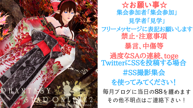 11月度SS撮影集会告知2