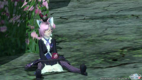 pso20151113_034845_011