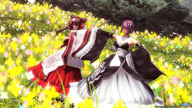 pso20160629_230358_058