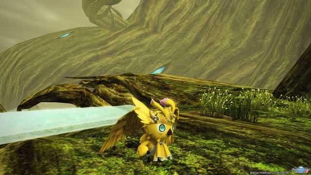 pso20170620_203108_001