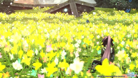pso20151029_113420_045