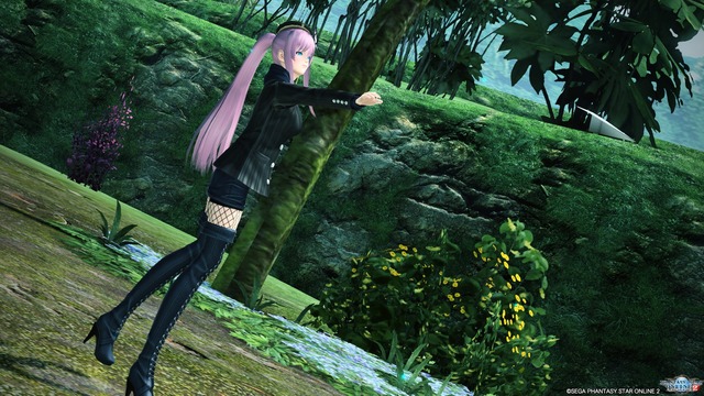 pso20170130_062504_249