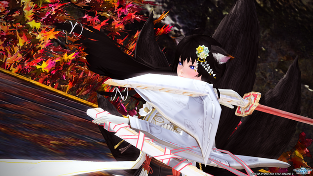 pso20170806_011109_220